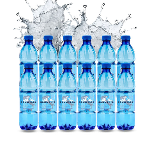 Sanmelia - Sparkling 0,5L 12'er Pack