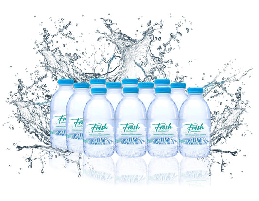 Fresh - Quellwasser 0,33L 12'er Pack