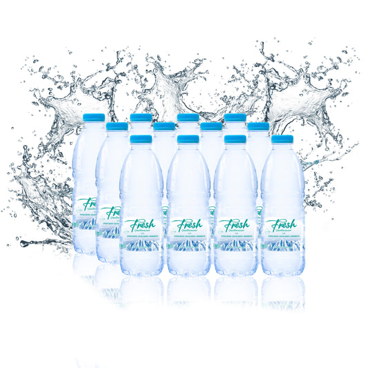 Fresh - Quellwasser 0,5L 12'er Pack